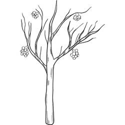 Dibujo Árbol (Naturaleza y Estaciones) #190469 para imprimir y colorear