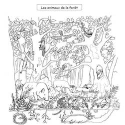 Dibujo para colorear: Bosque (Naturaleza y Estaciones) #157010 - Dibujos para Colorear e Imprimir Gratis