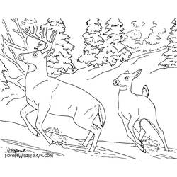Dibujo para colorear: Bosque (Naturaleza y Estaciones) #157042 - Dibujos para Colorear e Imprimir Gratis