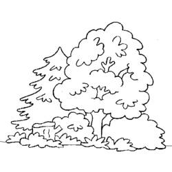 Dibujo para colorear: Bosque (Naturaleza y Estaciones) #157044 - Dibujos para Colorear e Imprimir Gratis