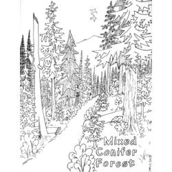 Dibujo para colorear: Bosque (Naturaleza y Estaciones) #157046 - Dibujos para Colorear e Imprimir Gratis