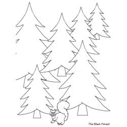 Dibujo para colorear: Bosque (Naturaleza y Estaciones) #157054 - Dibujos para Colorear e Imprimir Gratis