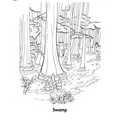 Dibujo para colorear: Bosque (Naturaleza y Estaciones) #157057 - Dibujos para Colorear e Imprimir Gratis