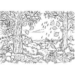 Dibujo para colorear: Bosque (Naturaleza y Estaciones) #157074 - Dibujos para Colorear e Imprimir Gratis