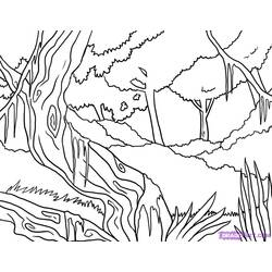 Dibujo para colorear: Bosque (Naturaleza y Estaciones) #157202 - Dibujos para Colorear e Imprimir Gratis
