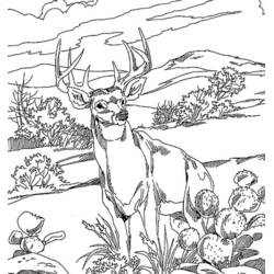 Dibujo para colorear: Bosque (Naturaleza y Estaciones) #157212 - Dibujos para Colorear e Imprimir Gratis