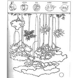 Dibujo para colorear: Bosque (Naturaleza y Estaciones) #157251 - Dibujos para Colorear e Imprimir Gratis