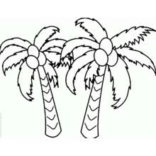 Dibujos para colorear: Cocotero - Dibujos para Colorear e Imprimir Gratis