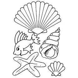 Dibujo para colorear: Concha (Naturaleza y Estaciones) #163138 - Dibujos para Colorear e Imprimir Gratis