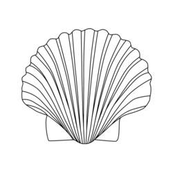 Dibujo para colorear: Concha (Naturaleza y Estaciones) #163163 - Dibujos para Colorear e Imprimir Gratis