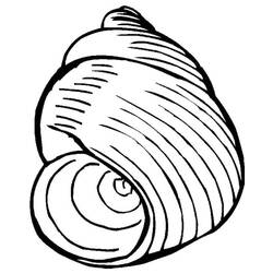 Dibujo para colorear: Concha (Naturaleza y Estaciones) #163165 - Dibujos para Colorear e Imprimir Gratis