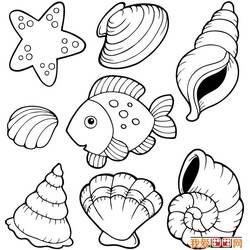 Dibujo para colorear: Concha (Naturaleza y Estaciones) #163190 - Dibujos para Colorear e Imprimir Gratis