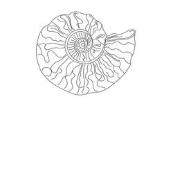 Dibujo para colorear: Concha (Naturaleza y Estaciones) #163204 - Dibujos para Colorear e Imprimir Gratis