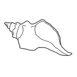 Dibujo para colorear: Concha (Naturaleza y Estaciones) #163211 - Dibujos para Colorear e Imprimir Gratis