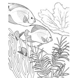 Dibujo para colorear: Coral (Naturaleza y Estaciones) #163040 - Dibujos para Colorear e Imprimir Gratis