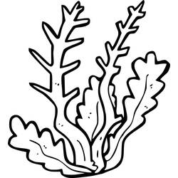 Dibujo Coral (Naturaleza y Estaciones) #210300 para imprimir y colorear