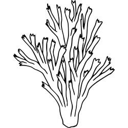 Dibujo Coral (Naturaleza y Estaciones) #210308 para imprimir y colorear