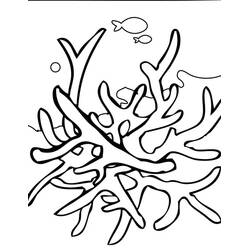 Dibujo Coral (Naturaleza y Estaciones) #210311 para imprimir y colorear