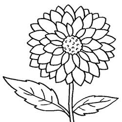 Dibujos para colorear: Dalia - Dibujos para Colorear e Imprimir Gratis