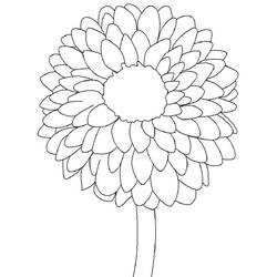 Dibujo para colorear: Dalia (Naturaleza y Estaciones) #176505 - Dibujos para Colorear e Imprimir Gratis