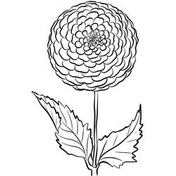 Dibujo para colorear: Dalia (Naturaleza y Estaciones) #176509 - Dibujos para Colorear e Imprimir Gratis