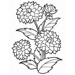 Dibujo para colorear: Dalia (Naturaleza y Estaciones) #176511 - Dibujos para Colorear e Imprimir Gratis