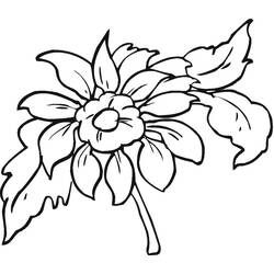 Dibujo para colorear: Dalia (Naturaleza y Estaciones) #176513 - Dibujos para Colorear e Imprimir Gratis