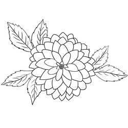 Dibujo para colorear: Dalia (Naturaleza y Estaciones) #176524 - Dibujos para Colorear e Imprimir Gratis