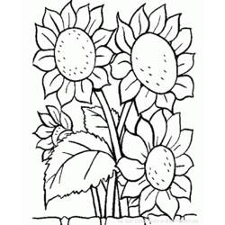 Dibujo para colorear: Flores (Naturaleza y Estaciones) #155000 - Dibujos para Colorear e Imprimir Gratis