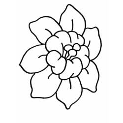 Dibujo para colorear: Flores (Naturaleza y Estaciones) #155010 - Dibujos para Colorear e Imprimir Gratis