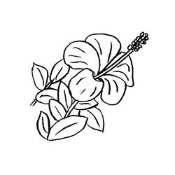 Dibujo para colorear: Flores (Naturaleza y Estaciones) #155014 - Dibujos para Colorear e Imprimir Gratis