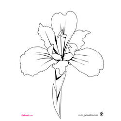 Dibujo Flores (Naturaleza y Estaciones) #155064 para imprimir y colorear