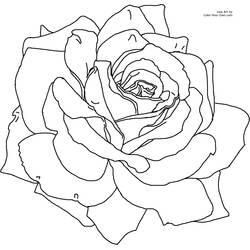 Dibujo Flores (Naturaleza y Estaciones) #155098 para imprimir y colorear