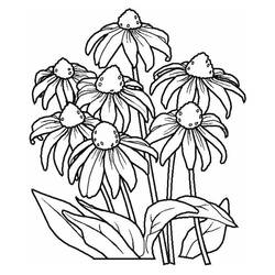 Dibujo para colorear: Flores (Naturaleza y Estaciones) #155142 - Dibujos para Colorear e Imprimir Gratis
