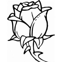 Dibujo para colorear: Flores (Naturaleza y Estaciones) #155204 - Dibujos para Colorear e Imprimir Gratis