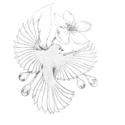 Dibujo para colorear: Flores (Naturaleza y Estaciones) #155221 - Dibujos para Colorear e Imprimir Gratis