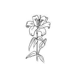 Dibujo para colorear: Flores (Naturaleza y Estaciones) #155259 - Dibujos para Colorear e Imprimir Gratis