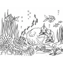 Dibujo para colorear: Fondo Marino (Naturaleza y Estaciones) #160102 - Dibujos para Colorear e Imprimir Gratis