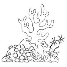 Dibujo para colorear: Fondo Marino (Naturaleza y Estaciones) #160105 - Dibujos para Colorear e Imprimir Gratis