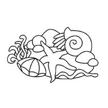 Dibujo para colorear: Fondo Marino (Naturaleza y Estaciones) #160111 - Dibujos para Colorear e Imprimir Gratis