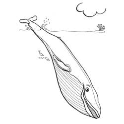 Dibujo para colorear: Fondo Marino (Naturaleza y Estaciones) #160210 - Dibujos para Colorear e Imprimir Gratis