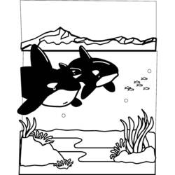 Dibujo para colorear: Fondo Marino (Naturaleza y Estaciones) #160214 - Dibujos para Colorear e Imprimir Gratis