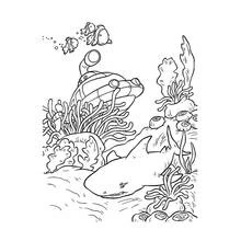 Dibujo para colorear: Fondo Marino (Naturaleza y Estaciones) #160234 - Dibujos para Colorear e Imprimir Gratis