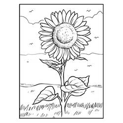 Dibujo para colorear: Girasol (Naturaleza y Estaciones) #171037 - Dibujos para Colorear e Imprimir Gratis