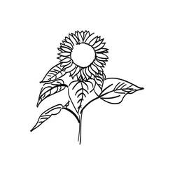 Dibujo para colorear: Girasol (Naturaleza y Estaciones) #171040 - Dibujos para Colorear e Imprimir Gratis