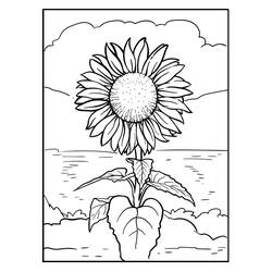 Dibujos para colorear: Girasol - Dibujos para Colorear e Imprimir Gratis