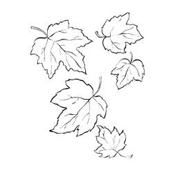 Dibujos para colorear: Hoja de Arce - Dibujos para Colorear e Imprimir Gratis