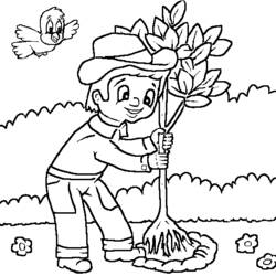 Dibujo para colorear: Jardín (Naturaleza y Estaciones) #166490 - Dibujos para Colorear e Imprimir Gratis