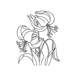 Dibujo para colorear: Lirio (Naturaleza y Estaciones) #182390 - Dibujos para Colorear e Imprimir Gratis