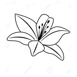 Dibujo para colorear: Lirio (Naturaleza y Estaciones) #182403 - Dibujos para Colorear e Imprimir Gratis